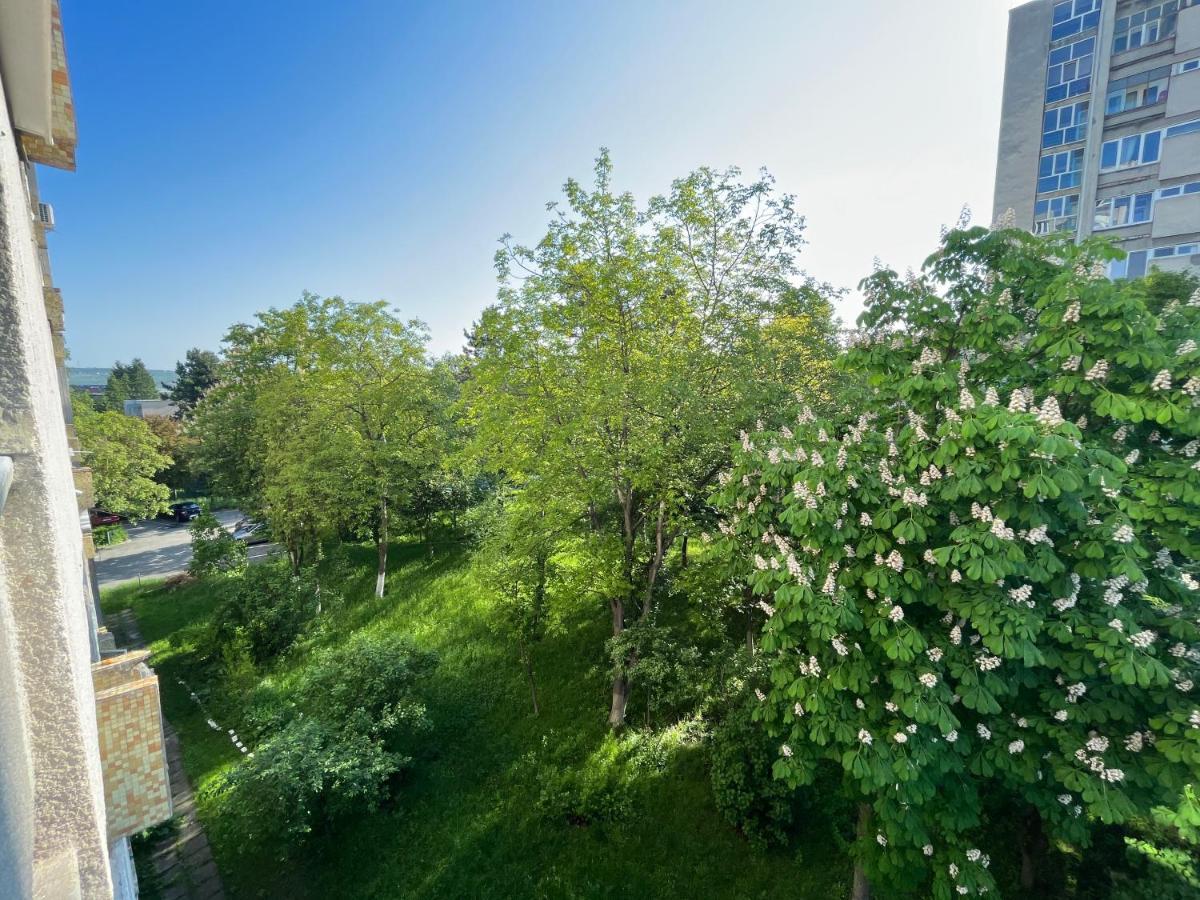 C & A Apartments Kluż-Napoka Zewnętrze zdjęcie